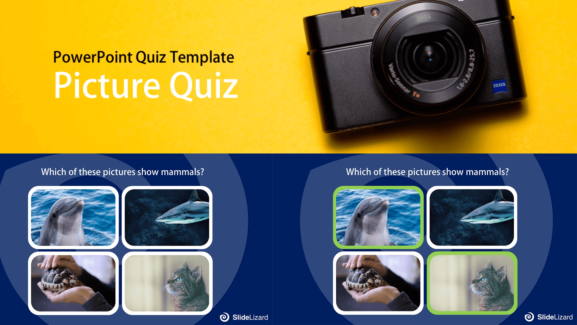 10 Free Interactive Powerpoint Quiz Templates (2022) | Slidelizard® Throughout Trivia Powerpoint Template