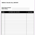 12 Daily Sales Report Template Excel Free – Excel Templates Throughout Sales Call Report Template Free