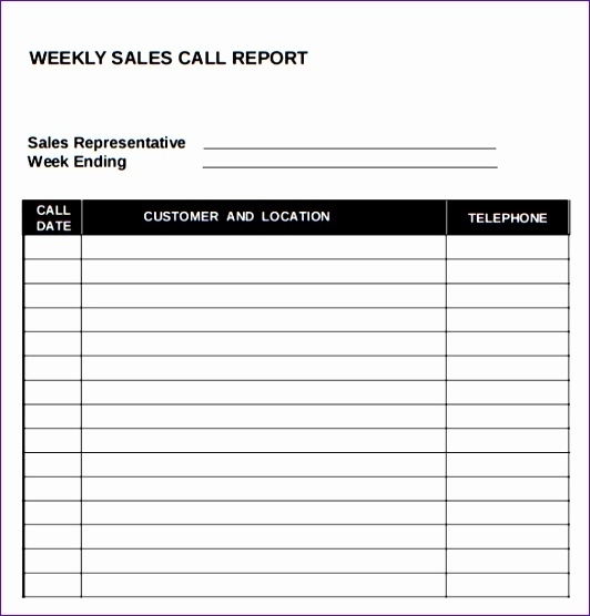 12 Daily Sales Report Template Excel Free - Excel Templates Throughout Sales Call Report Template Free