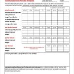 12+ Monthly Sales Plan Templates – Sample, Example, Format Download Pertaining To Sales Manager Monthly Report Templates