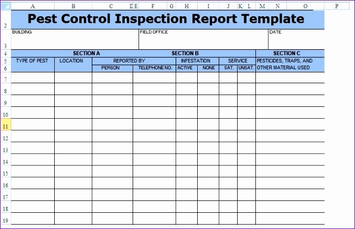 12 Project Assessment Template Excel – Excel Templates – Excel Templates Within Pest Control Inspection Report Template