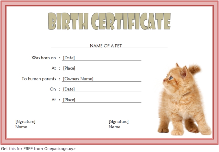 13+ Adorable Cat Birth Certificate Template Free Editable Formats Inside Editable Birth Certificate Template