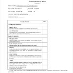 13+ Lab Report Templates - Free Pdf, Ms Word, Apple Pages, Google Docs in Lab Report Template Word