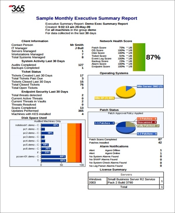 15+ Sample Executive Report Formats  Word, Pdf, Docs, Apple Pages In Monthly Board Report Template