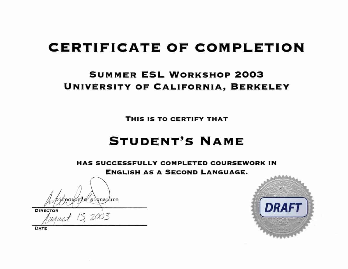 21+ Free 42+ Free Certificate Of Completion Templates - Word Excel Formats Throughout Class Completion Certificate Template