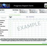 21+ Free Progress Report Template – Word Excel Formats Intended For It Progress Report Template