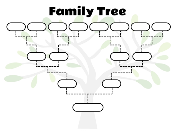 3 Generation Family Tree With Siblings Template | Hq Printable Documents For 3 Generation Family Tree Template Word