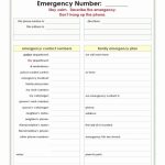 30 In Case Of Emergency Form | Example Document Template With Regard To In Case Of Emergency Card Template