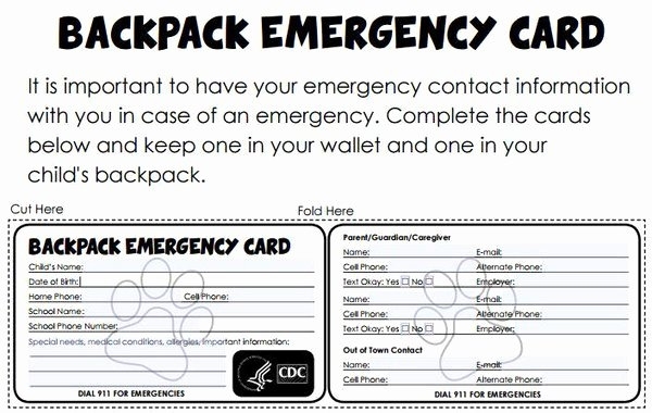 30 Printable Emergency Contact Card | Example Document Template In Emergency Contact Card Template