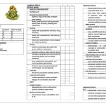 30+ Real & Fake Report Card Templates [Homeschool, High School] Intended For Fake Report Card Template