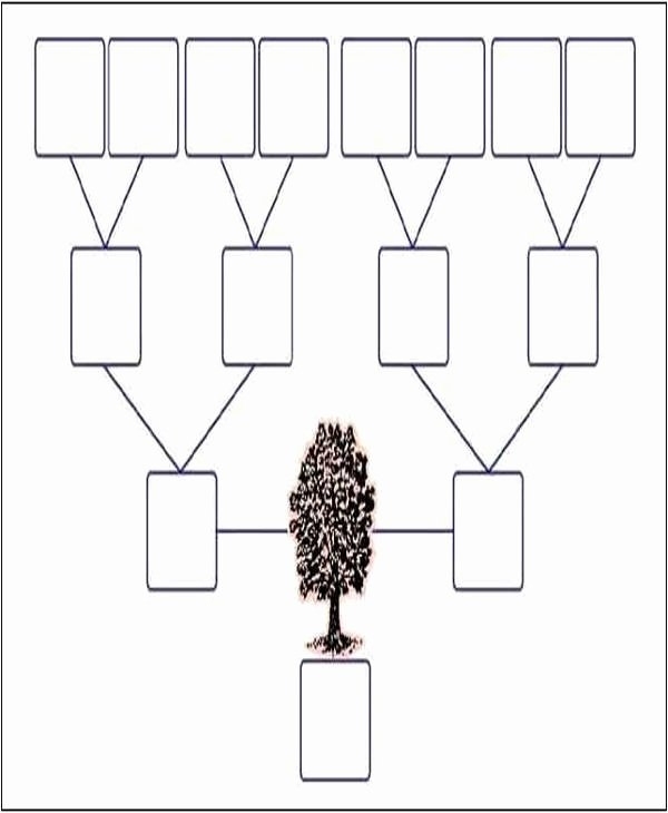 30 Three Generation Family Tree | Example Document Template Regarding 3 Generation Family Tree Template Word