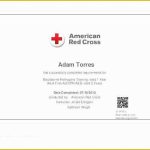 45 Free Cpr Card Template | Heritagechristiancollege within Cpr Card Template
