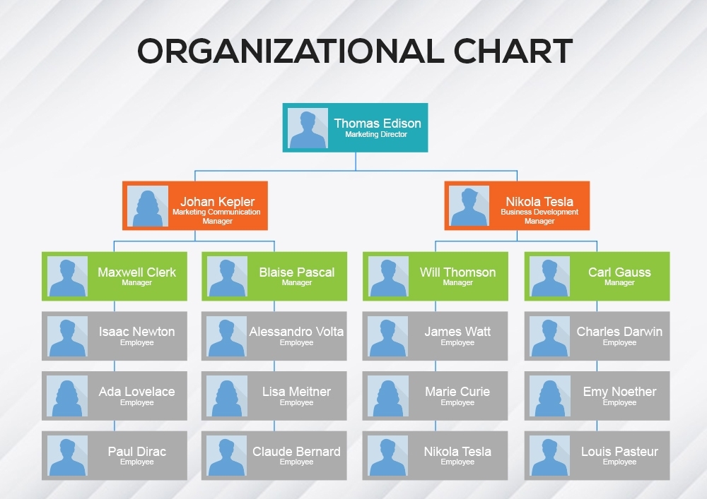 5+ Organizational Chart Template Free Psd | Template Business Psd Intended For Word Org Chart Template