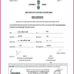 6 Marriage Certificate Templates In Spanish 47372 | Fabtemplatez within Marriage Certificate Translation From Spanish To English Template