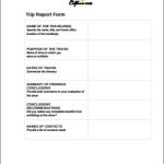8+ Trip Report Templates – Google Docs, Ms Word, Pages, Editable Pdf For Sales Trip Report Template Word