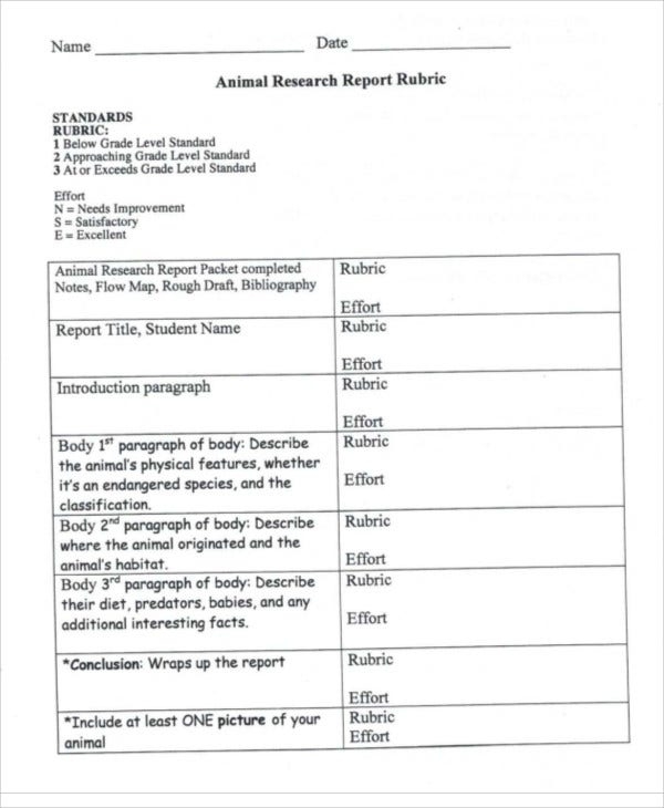 9+ Animal Report Templates – Word, Pdf | Free & Premium Templates Intended For Research Project Report Template