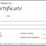 9 Printable Gift Certificate Template – Sampletemplatess – Sampletemplatess With Regard To Gift Certificate Log Template