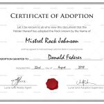 Adoption Certificate – The O Guide Pertaining To Child Adoption Certificate Template