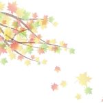 Autumn Period Ppt Backgrounds, Autumn Period Ppt Photos, Autumn Period In Free Fall Powerpoint Templates
