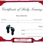 Baby Naming Certificate Of Birth Template Download Printable Pdf For Official Birth Certificate Template