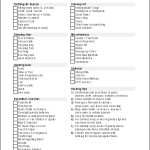 Backpacking Checklist Template For Personal Check Template Word 2003