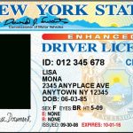 Blank Drivers License Template (1) | Templates Example Throughout Blank Drivers License Template