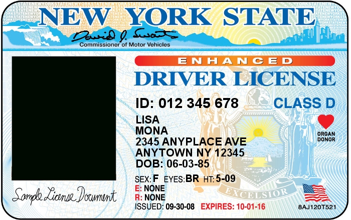 Blank Drivers License Template (1) | Templates Example Throughout Blank Drivers License Template