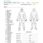 Body Check Form – Fill Online, Printable, Fillable, Blank | Pdffiller Within Blank Body Map Template