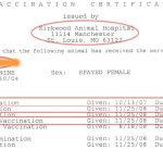 Buddy Passport – Robbie In Rabies Vaccine Certificate Template