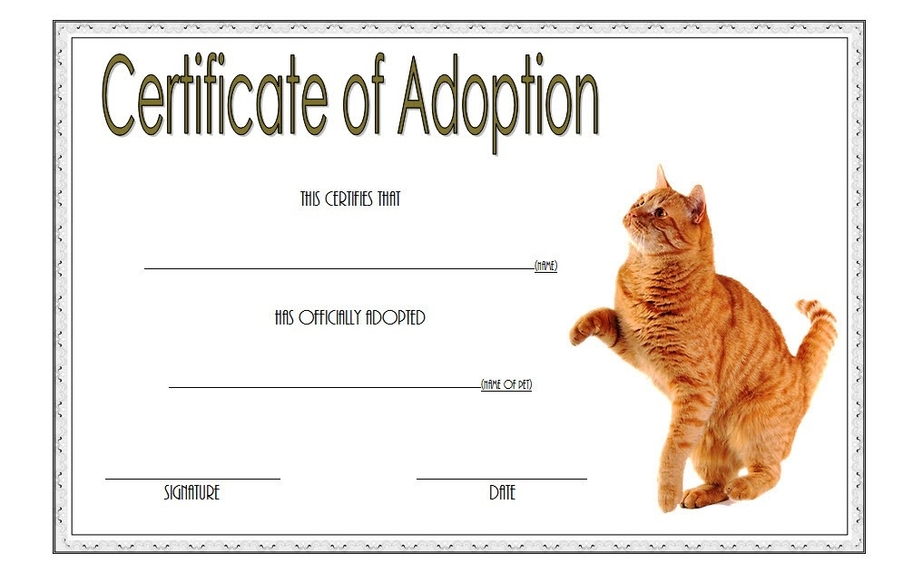Cat Adoption Certificate Templates Free [9+ Update Designs 2019] Within Pet Adoption Certificate Template