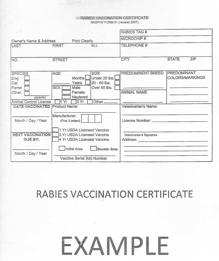 "Dog Warden Alert" – Love My Doggy Day Care For Dog Vaccination Certificate Template