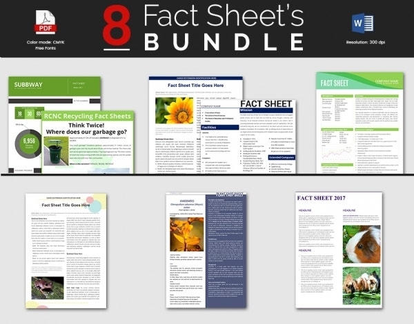 Fact Sheet Template – 15+ Free Word, Pdf Documents Download! | Free Regarding Fact Sheet Template Microsoft Word