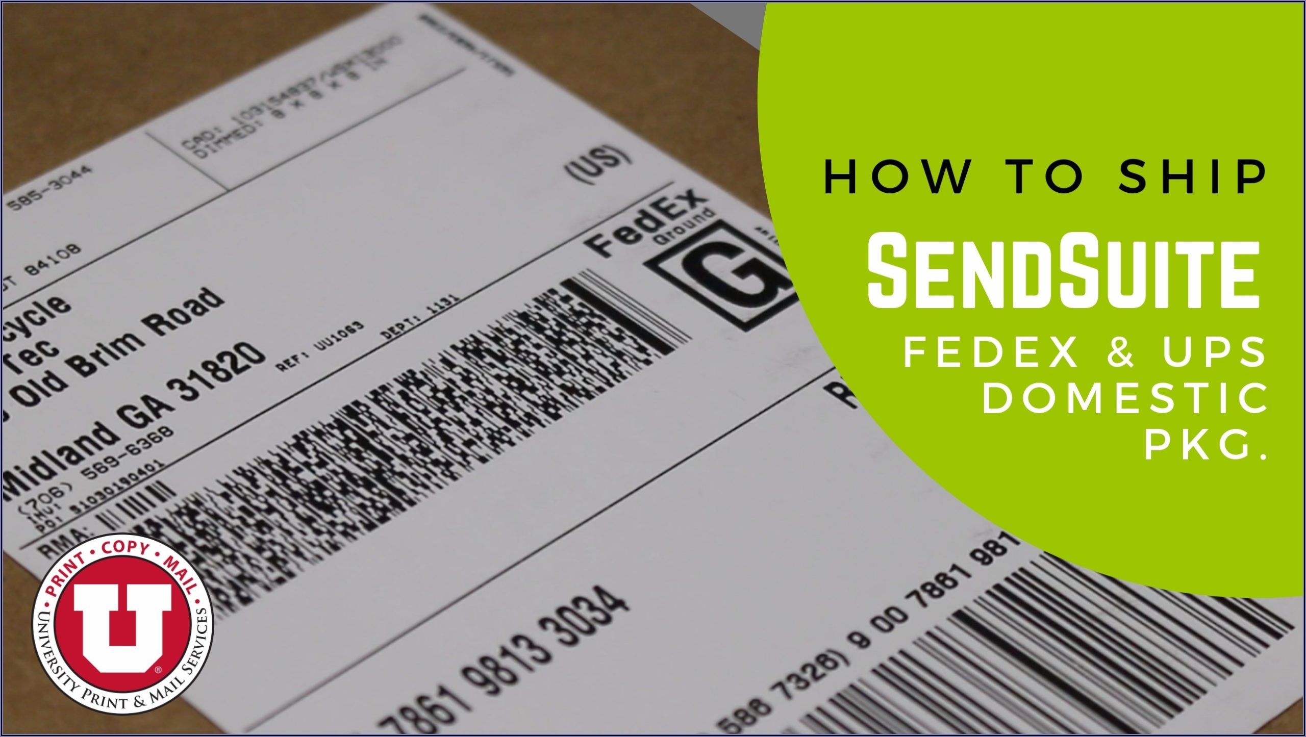 Fedex Prepaid Envelope International – Envelope : Resume Template Inside Fedex Brochure Template