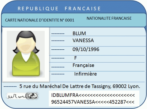 Fle: Identity Card – Vocabulary French Pertaining To French Id Card Template