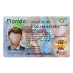 Florida Drivers License Template V1 New – Fl Drivers License Template In Florida Id Card Template
