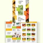 Free 24+ Health Brochure Templates In Psd | Eps | Indesign | Ms Word Throughout Nutrition Brochure Template