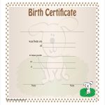 Free 50 Certificate Examples In Pdf Examples In Build A Bear Birth Certificate Template