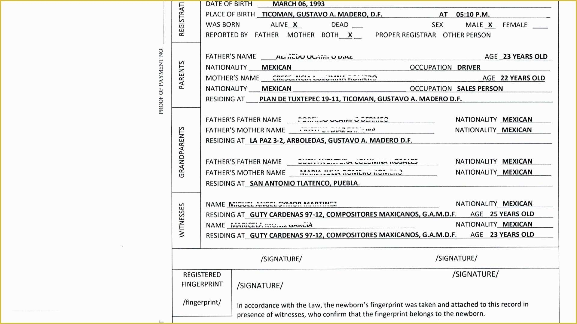 Free Death Certificate Translation Template Of Mexican Birth In Death Certificate Translation Template