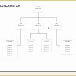 Free Org Chart Template Of Blank Chart Template Example Mughals For Free Blank Organizational Chart Template