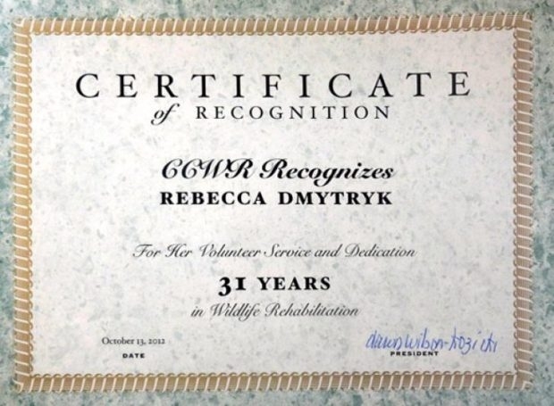 Free Printable Years Of Service Certificates ~ Sample Certificate Within Certificate For Years Of Service Template