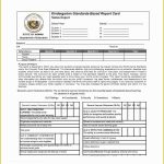 Free Report Card Template Of 30 Real & Fake Report Card Templates Within Fake Report Card Template