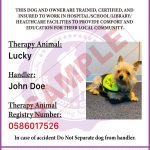 Free Service Dog Training Certificate Template Doc – Withcatalonia Pertaining To Service Dog Certificate Template