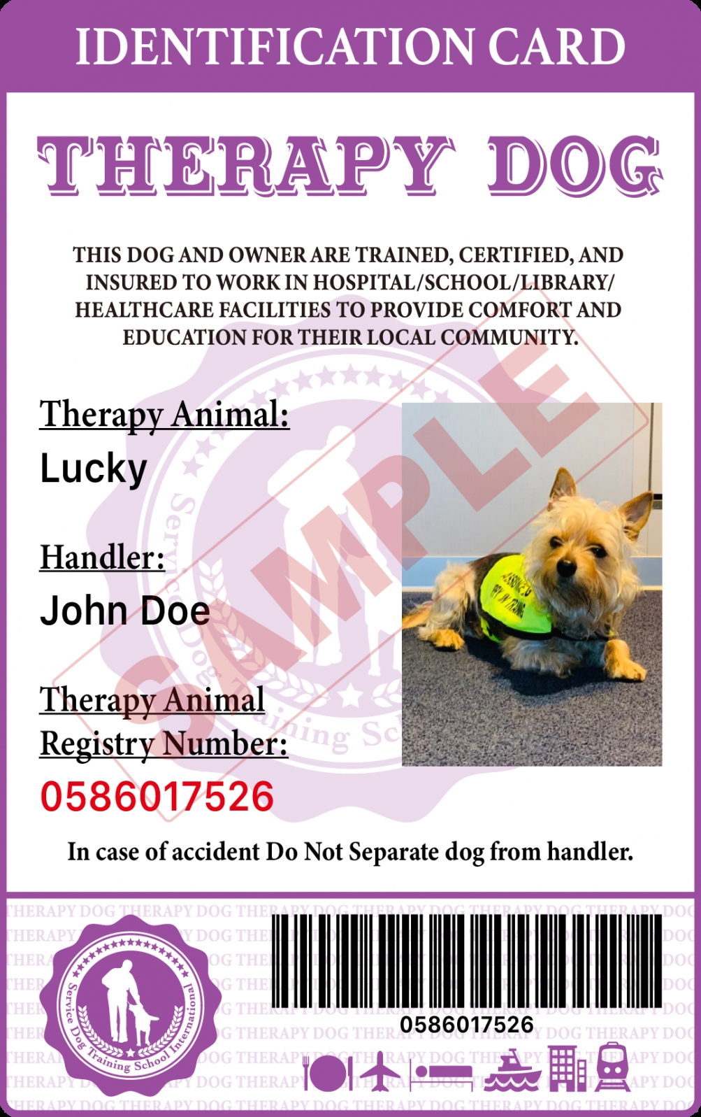 Free Service Dog Training Certificate Template Doc – Withcatalonia Pertaining To Service Dog Certificate Template