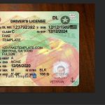 Georgia Drivers License Template V1 - Ga Drivers License Template inside Georgia Id Card Template