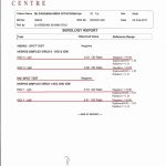 High School Lab Report Example | Glendale Community within Biology Lab Report Template