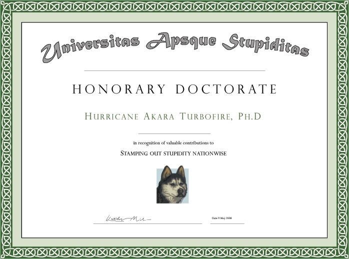 Honorary Doctorate Templates : 11 Free Printable Degree Certificates Throughout Doctorate Certificate Template