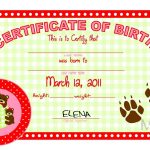 Mallard Cove Mommy: March 2011 With Regard To Build A Bear Birth Certificate Template