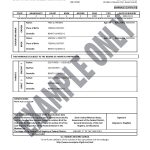 Mexican Birth Certificate Translation Template Inside Mexican Birth Certificate Translation Template