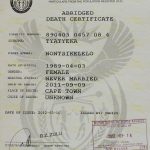 Pax On Both Houses: Are Republicans Taking Their Cues From South Within South African Birth Certificate Template