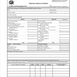 Personal Financial Statement Form – 7+ Free Pdf, Word Documents For Blank Personal Financial Statement Template